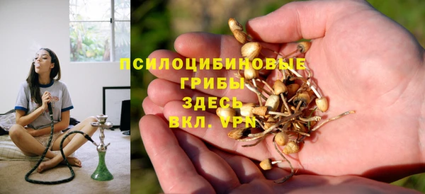 стафф Гусиноозёрск