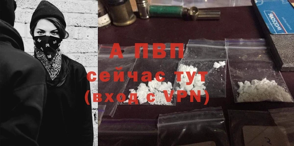 стафф Гусиноозёрск